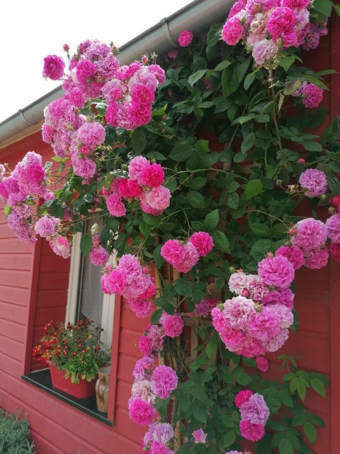 La Ferme De Kerraoul Bed & Breakfast Combrit Exterior foto